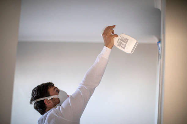 Best Residential Mold Remediation in Palm Harbor, FL